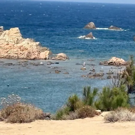 Bouganville ايزولا روسا
