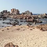 Bouganville