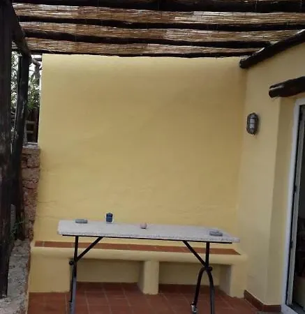 Bouganville
