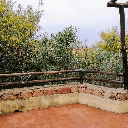 Bouganville Isola Rossa (Sassari)