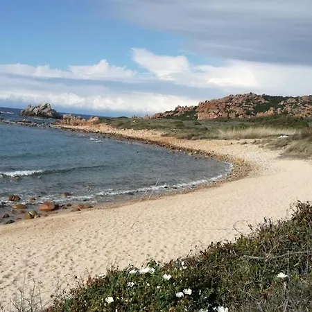 Bouganville *